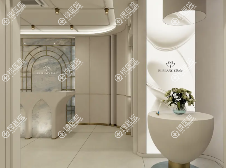 ��ɽElblanc ClinicƤ�w��