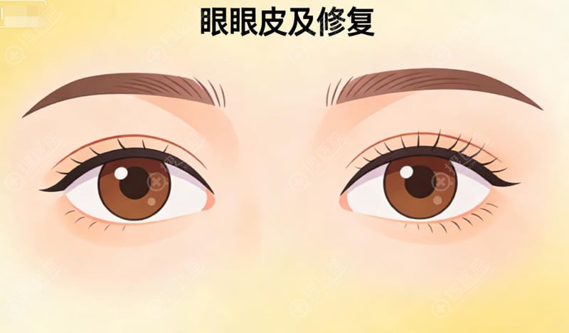 五、 尋找较適合你的預約通道:多元方式對比與分享
