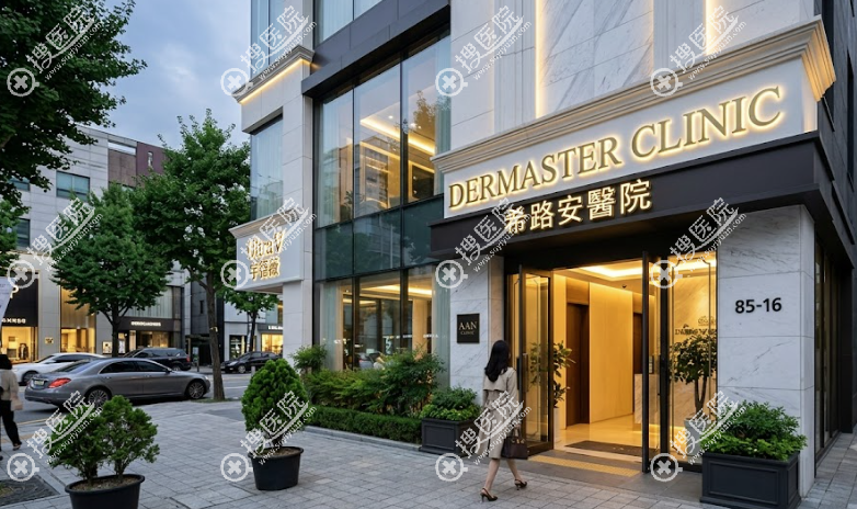 ��ʲ�N���е��t�����ֶ��x�n��DermasterƤ�w��