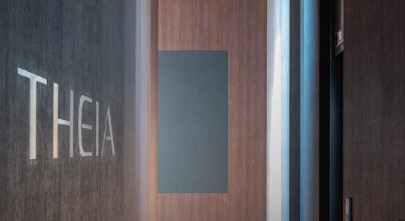 ����theiaƤ�w��