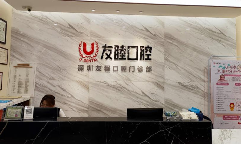 2. 擅長項目與技術優勢
