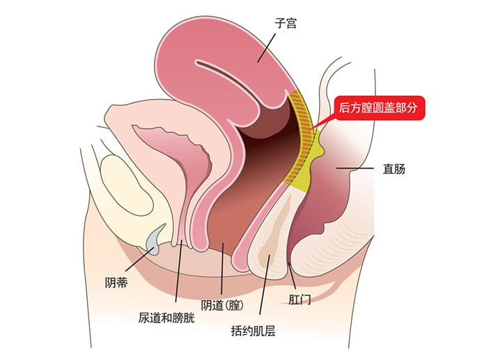 五、上海联合丽格田莉私密整形口碑评价与真实反馈