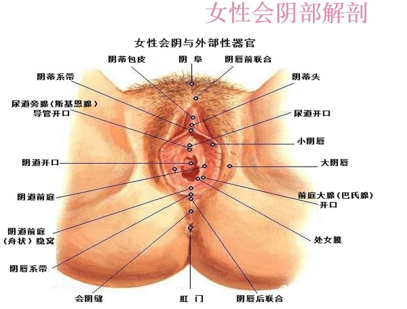七、上海联合丽格田莉私密整形Q&A(常见问题)