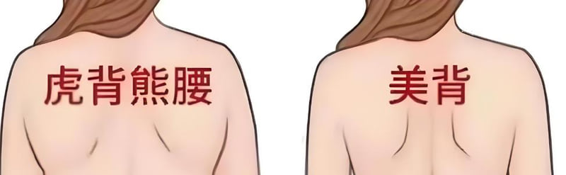 三、上海联合丽格吴越吸脂塑形价格