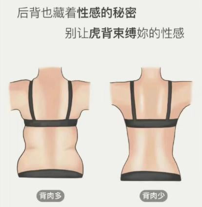 二、上海联合丽格吴越擅长项目解析