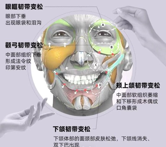 3. 一个不可替代性