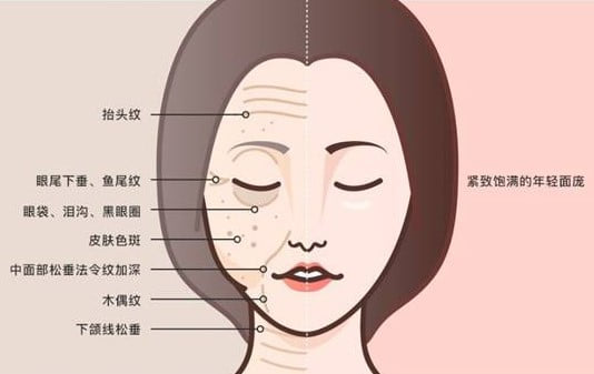 具体操作步骤: