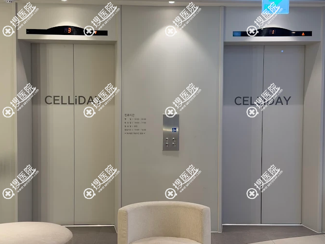 �n������Celliday������Ƥ�w���u�r