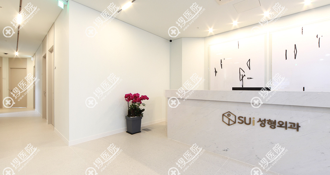 韓國SUi整形外科是什麼類型的醫院 韓國SUi整形外科是什麼類型的醫院