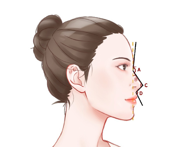 Dr.jins整形