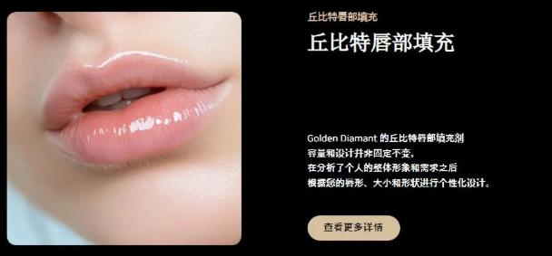 GD�������