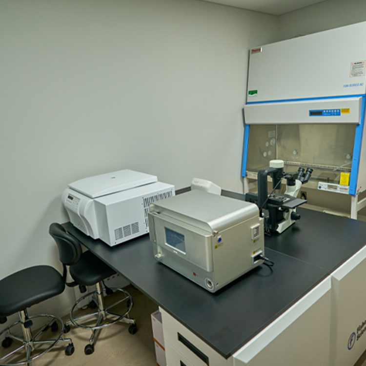 �ġ�DODƤ�w����̶���t������c���\�L����Σ�